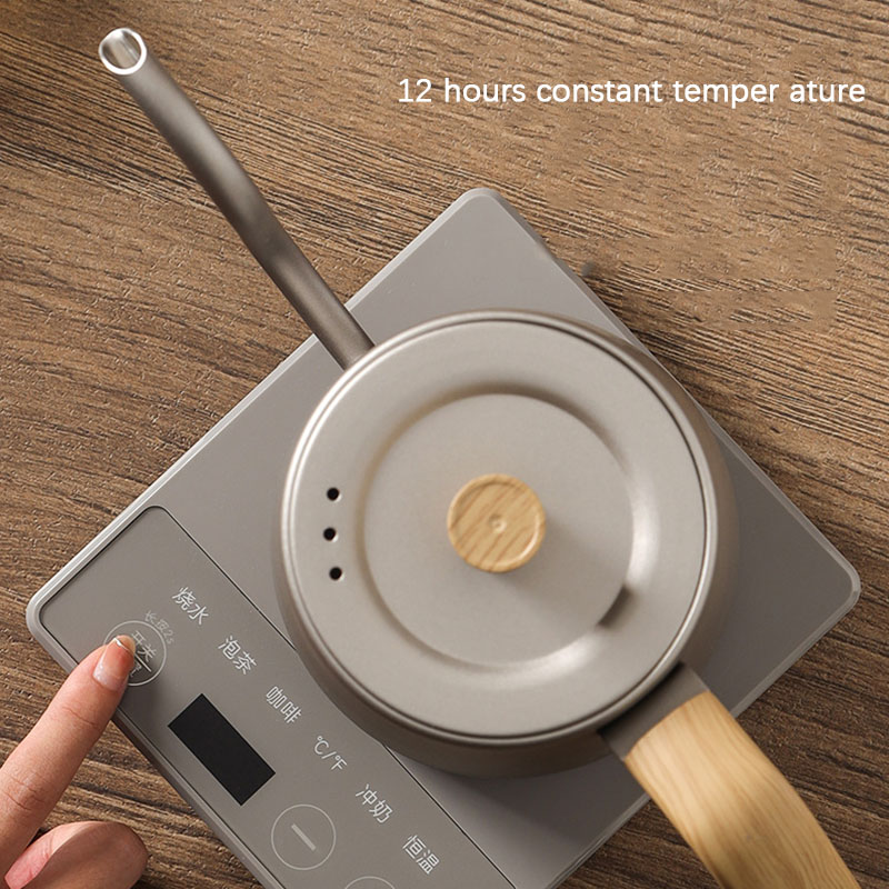110v 220v Kettle teapot goose  - مراجعة Electric Kettle Gooseneck وسعره