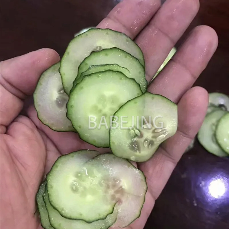Electric Mini Scallion Chopper - مراجعة Kitchen Appliances Electric وسعره
